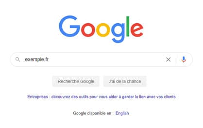 google Gestion des noms de domaine et serveurs DNS